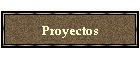 Proyectos